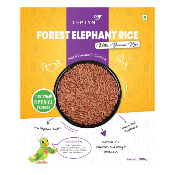 forest_rice_004